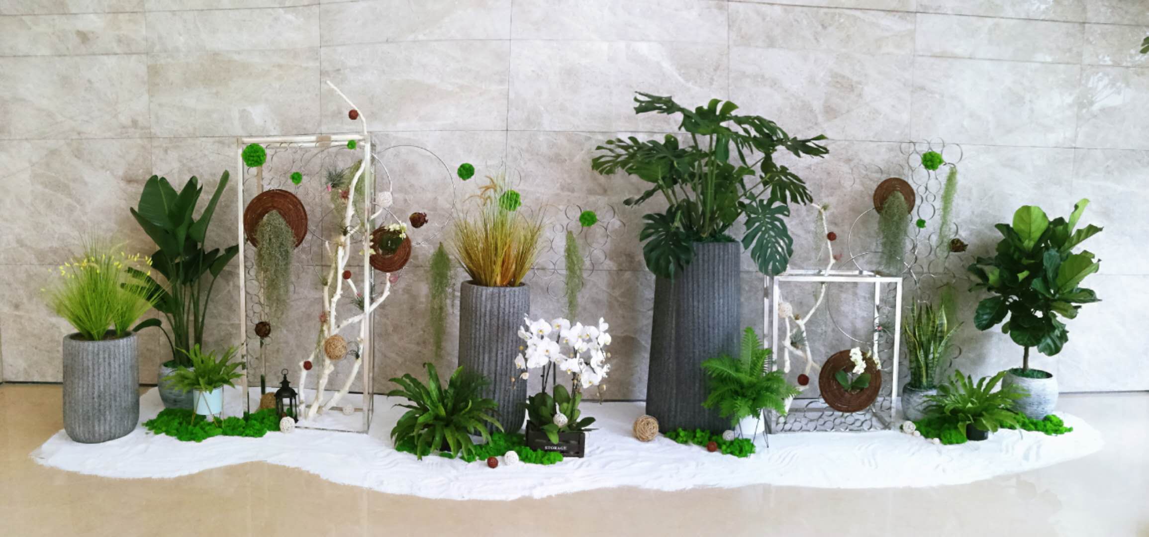 香草山 | 办公室绿植要“对症下药”，快看看自己适合啥？